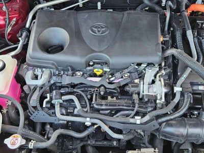 2021 Toyota Venza LE AWD (GS)