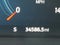 2022 Ford F-150 Raptor 4WD SuperCrew 5.5' Box