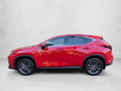 2025 Lexus NX 250 FWD