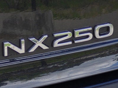 2024 Lexus NX 250 Premium FWD