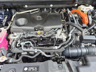 2021 Toyota RAV4 Hybrid XLE Premium AWD (Natl)