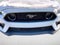 2023 Ford Mustang Mach 1 Fastback