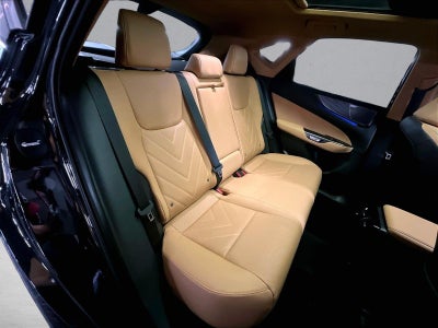 2026 Lexus NX Luxury AWD