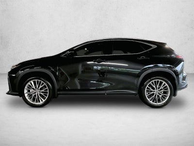 2026 Lexus NX Luxury AWD