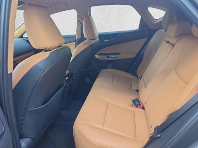 2025 Lexus NX 250 FWD