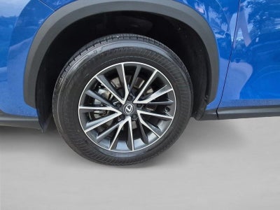 2025 Lexus NX 250 FWD