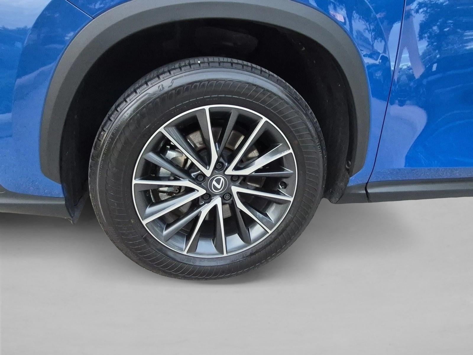2025 Lexus NX 250 FWD