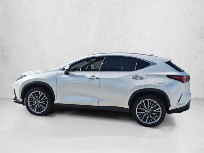 2025 Lexus NX 350h Premium AWD