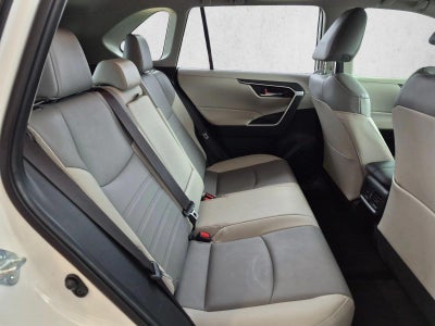 2019 Toyota RAV4 XLE Premium FWD (Natl)