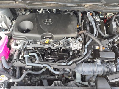 2023 Toyota Sienna Platinum FWD 7-Passenger (Natl)