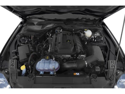 2019 Ford Mustang EcoBoost Premium Fastback