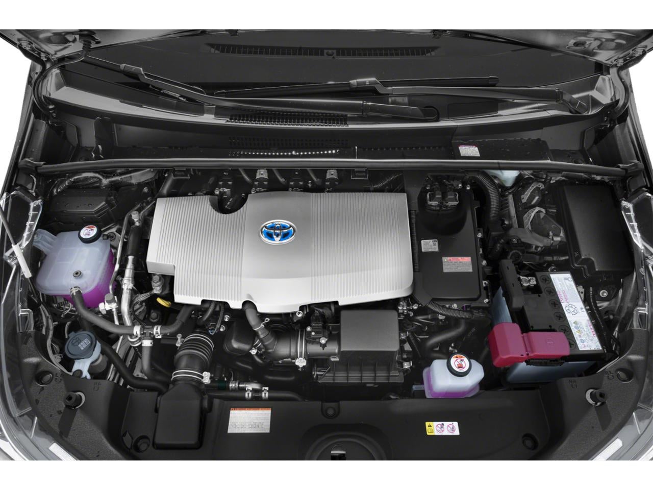 2019 Toyota Prius XLE (Natl)