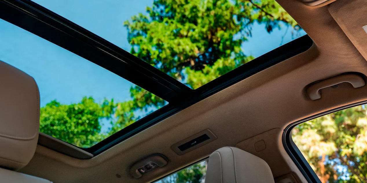 XT6 A close-up shot from inside a car looking up through a large sunroof at bright green trees and a blue sky